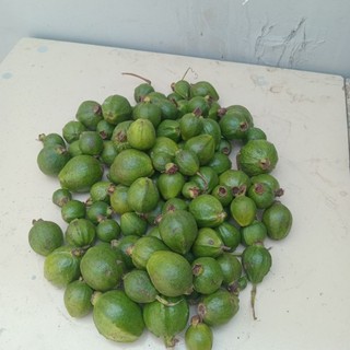 1kg trái ổi sẻ non