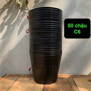 50 Bầu ươm cây cứng C6(14x10cm), chậu nhựa đen trồng cây, ươm cây hàng tốt