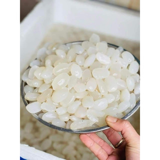 hạt đác tươi 1kg