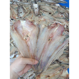 Khô Cá ngát vị mặn vừa ăn 1kg