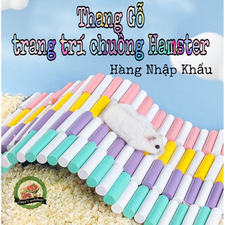 Thang gỗ uốn. Cầu thang uốn. Dùng trang trí chuồng hamster