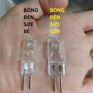 Bóng đèn led , Bóng đèn tinh dầu 220v/50w - Đèn xông tinh dầu