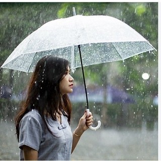 Ô che mưa trong suốt, dù che mưa che nắng