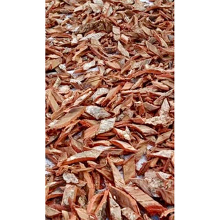 Vỏ Thân Cây Gạo [500g]