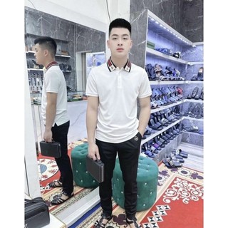 Áo cỗ trụ polo DG Nam đẹp xuất sắc