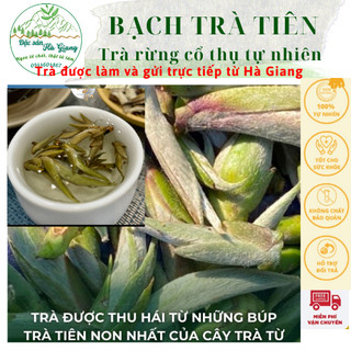 Đại bạch trà tiên (trà búp tiên) 200g