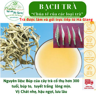 Bạch trà shan tuyết vụ xuân Hà Giang, hương thơm vị ngọt nhẹ không gây mất ngủ 100g