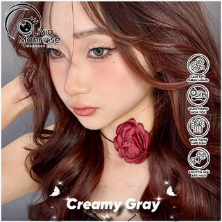 Creamy Gray ( Có tặng khay đựng lens )
