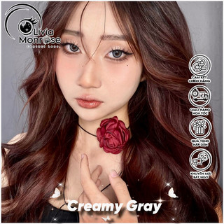 Creamy Gray ( Có tặng khay đựng lens )