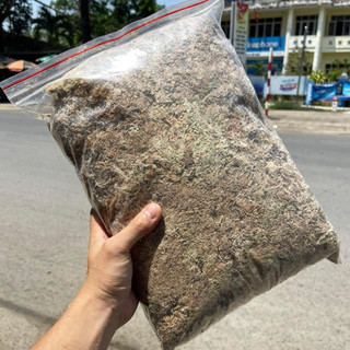 Dớn trắng, dớn mềm, dớn khô, giá thể trồng lan, kiểng lá cây bắt mồi, cây ăn thịt