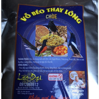 Vỗ béo thay lông Choè - Lão Đại