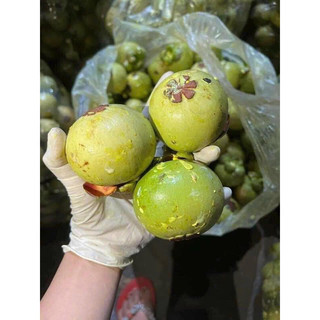 măng cụt xanh , sz to  ( 1kí )