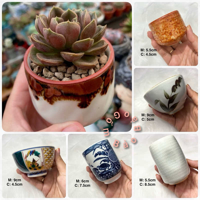 Chậu, ly gốm Nhật trồng sen đá (miệng 6-8cm) (khoan lỗ free theo yc)