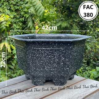  Chậu Nhựa Lục Giác Giả Đá FAC380 Kt 42x22cm  Nhựa Dày  - Chậu Nhựa trồng cây trồng hoa,hàng sẵn 