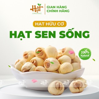 HẠT SEN TRẮNG BỞ - NẤU SỮA HẠT, LÀM ĐỒ ĂN - ĐÓNG GÓI CHÂN KHÔNG 500G
