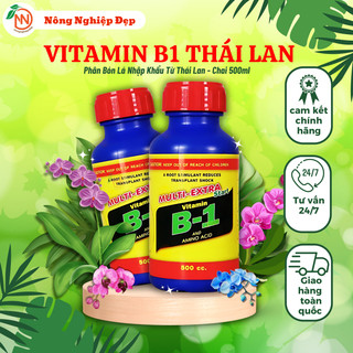 Vitamin b1 thái lan - b1 xanh thái lan - b1 multi extra thái lan chai 500ml