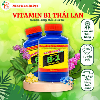 Vitamin B1 Thái Lan - B1 xanh Thái Lan - B1 Multi Extra Thái Lan chai 100ml