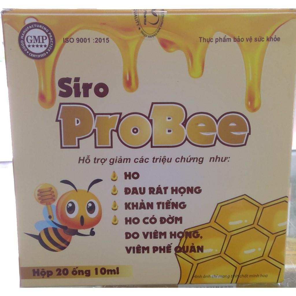 Siro ProBee siro ho, ho có đàm, khàn tiếng, ho gió