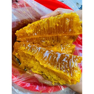 Mật Ong Khoái Rừng Lai Châu Nguyên Chất