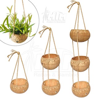 Chậu gáo dừa, dây gáo dừa treo trồng cây.