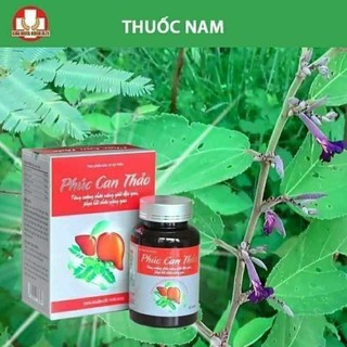 Phúc can thảo