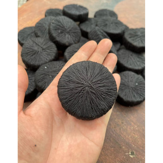 Giá thể trồng cây thuỷ sinh