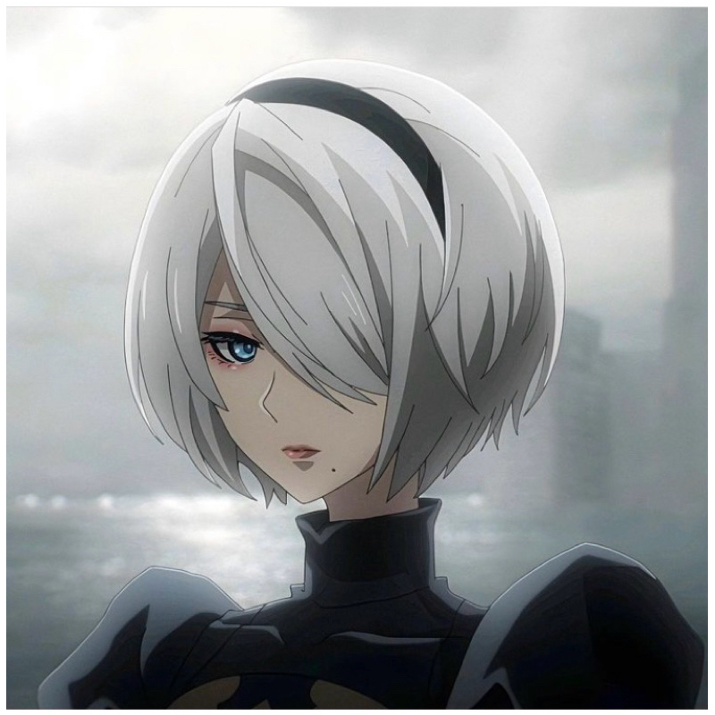 [Pass] wig 2B Game NieR: Automata YoRHa No.2,wig 28cm.