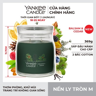 Nến ly tròn sáp đậu nành Yankee Candle size M (369g) - Balsam & Cedar
