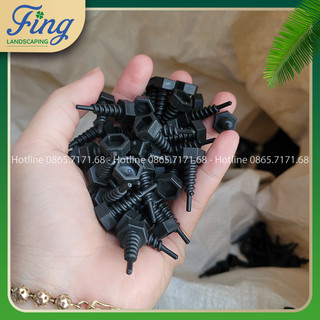 Ốc vít bầu ươm cây