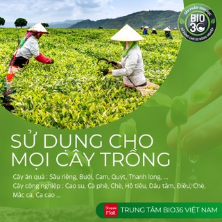 [Chính Hãng] Bio 36 Kích Hoa (Gói 100g)