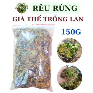 Rêu rừng - giá thể trồng lan rêu rừng - gói 150 gram
