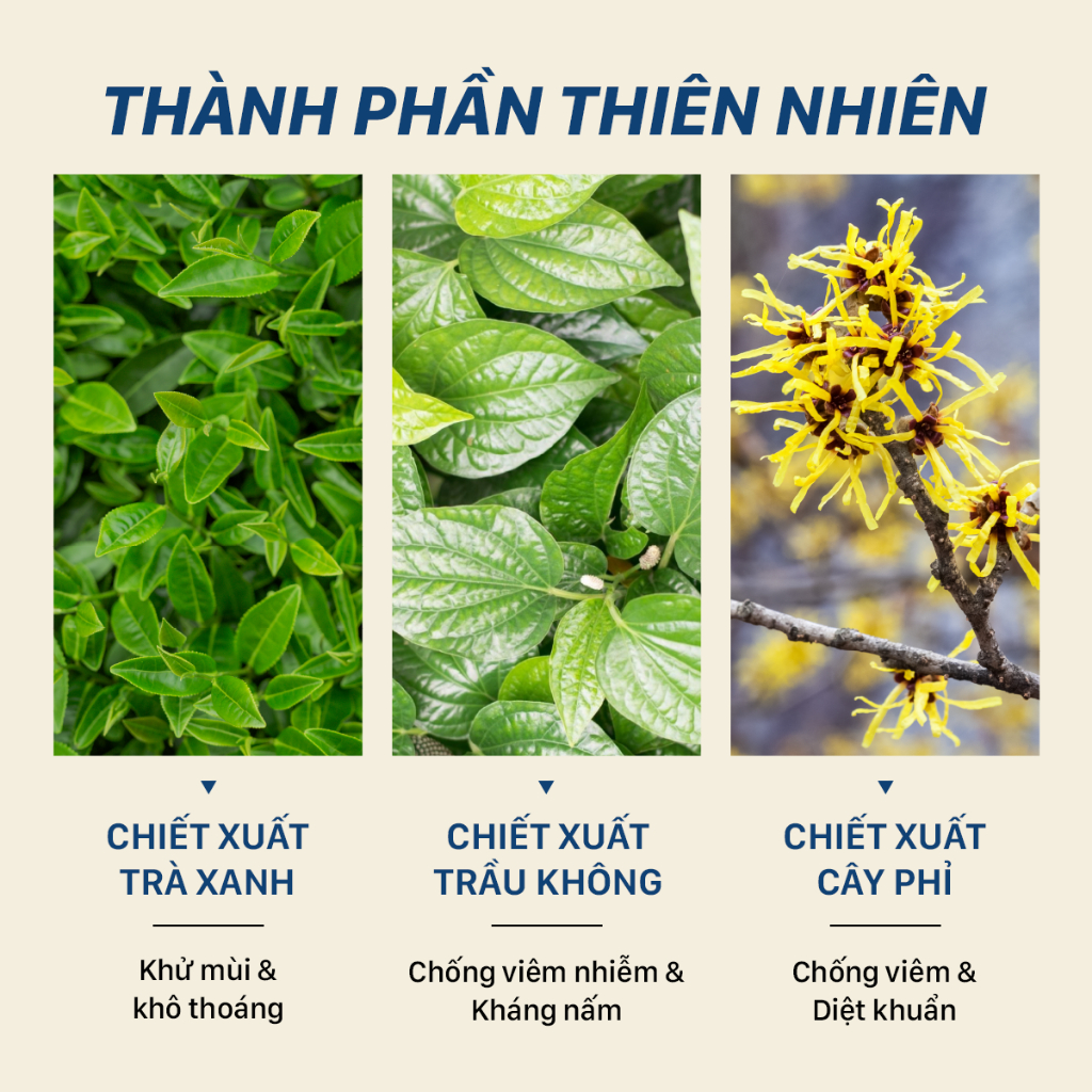 Dung dịch vệ sinh nam UMIHA (100ml) dạng bọt - Ddvs ngăn mùi và vi khuẩn gây viêm ngứa, hương thơm cuốn hút nam tính