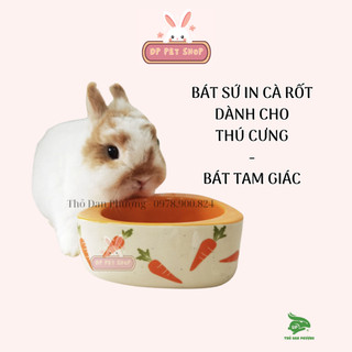 Bát ăn sứ cà rốt chống lật cho thú cưng - Thỏ Đan Phượng