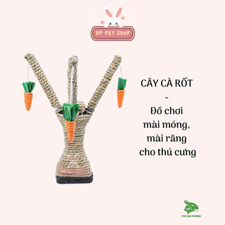 Cây đồ chơi mài răng, móng cho thú cưng carot