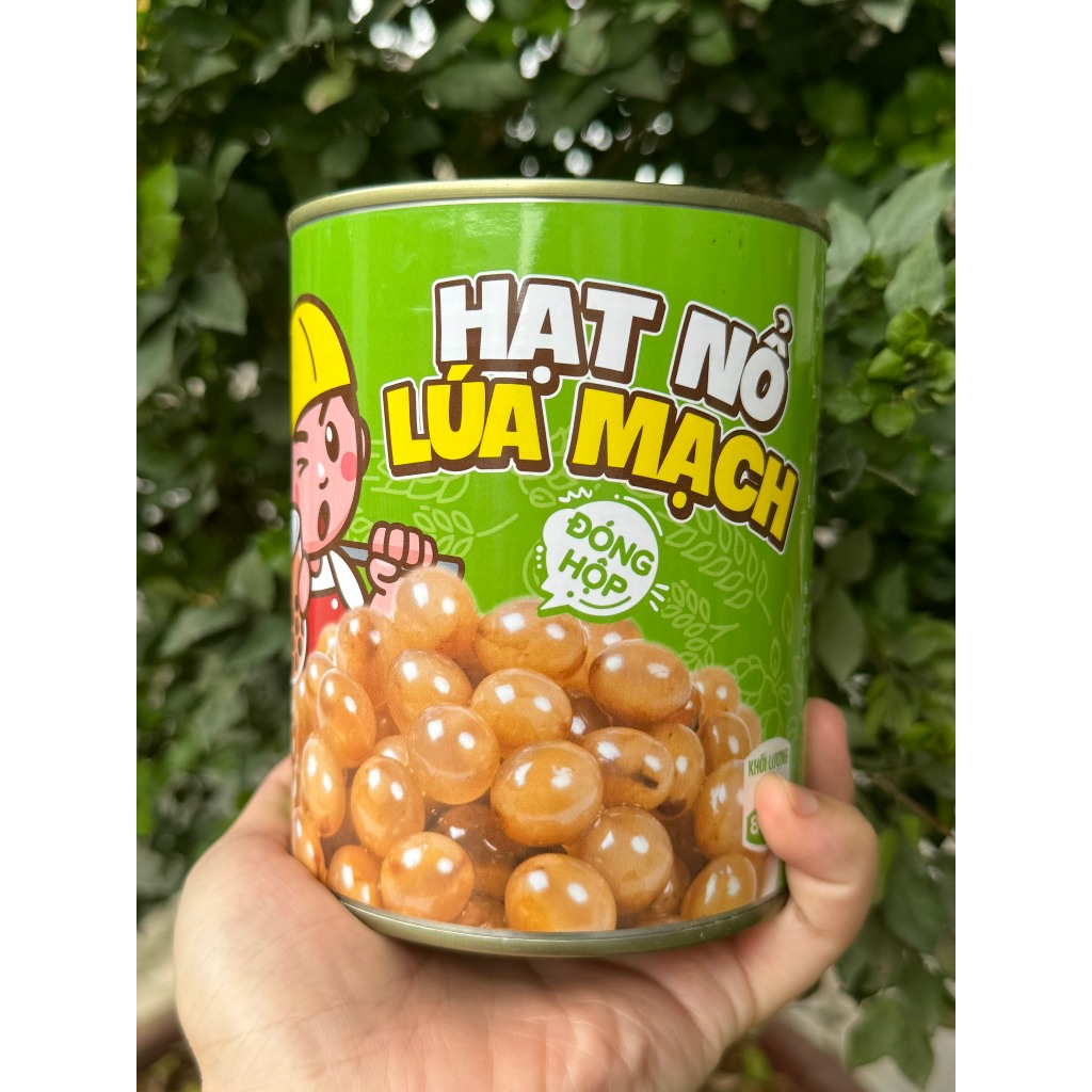 Hạt Nổ Lúa Mạch TenTen Hộp Xanh (850g)