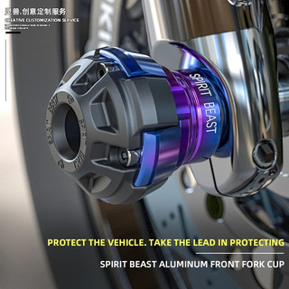 Chống Đổ Bánh Trước Spirit Beast L5
