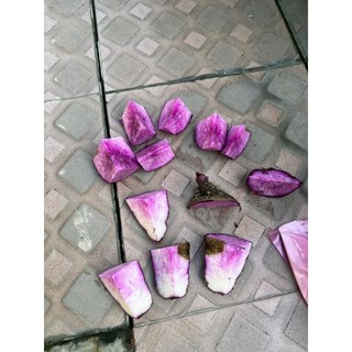 Hạt  Khoai Mỡ Tím củ to