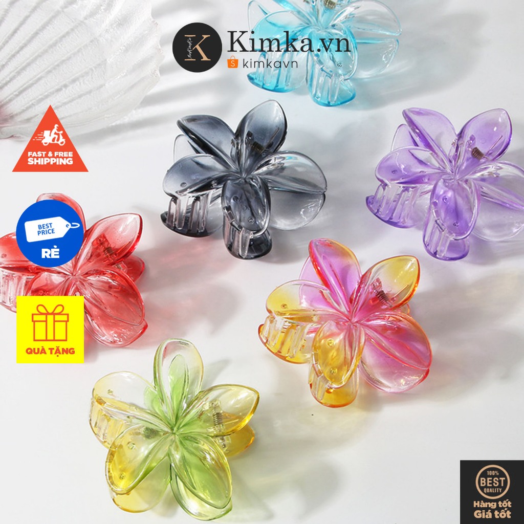 (1078) Kẹp Tóc Hoa Sứ, Cặp Tóc Hoa Trong Suốt Ombre Xu Hướng Hàn Quốc