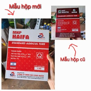 Mkp haifa - 0-52-34 - phân bón lá chặn đọt già lá