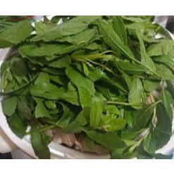 500g cây lá cúc tần tươi ( cúc từ bi)