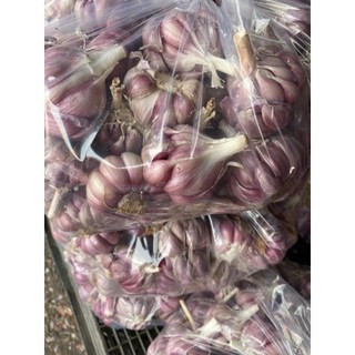 Hành Tỏi 500gam 1kg Tỏi Tím rặc lựa từng củ đảm bảo chất lượng không hư bất kỳ củ nào