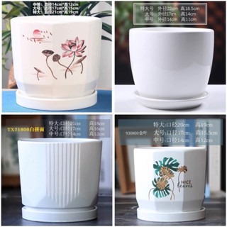  Chậu hoa gốm sứ họa tiết đa dạng có đĩa đựng nước dính liền - Chậu trồng cây men bóng kèm dĩa 