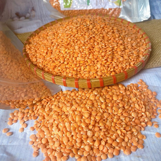 1Kg Đậu lăng đỏ hữu cơ - siêu thực phẩm dinh dưỡng cho mọi nhà