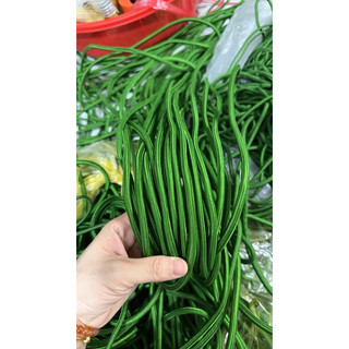 Dây dù tròn màu xanh đủ cỡ, dây leo núi, dây buộc hàng chắc chắn