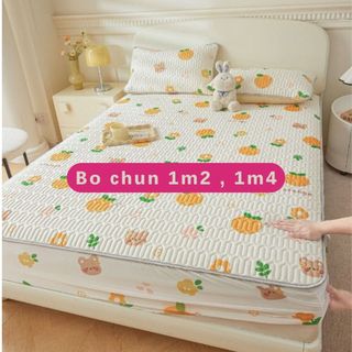 Chiếu điều hòa BO CHUN 1m2 x 2m, 1m4 x 2m cao su non tencel latex nhập khẩu cao cấp