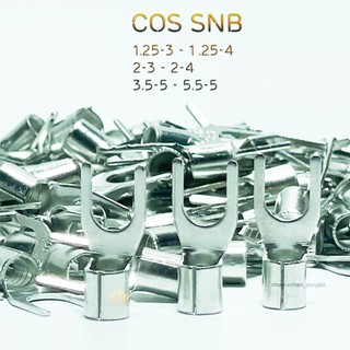 Đầu cos y trần snb