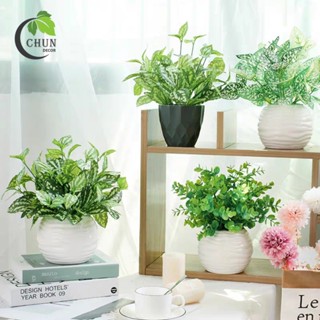 Chậu cây giả mini đẹp tự nhiên, phù hợp trang trí bàn làm việc, bàn học, kệ tủ tạo không gian xanh mát