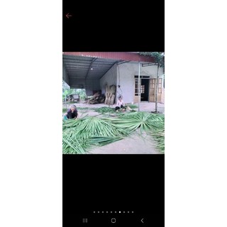 chổi cọ quét sân