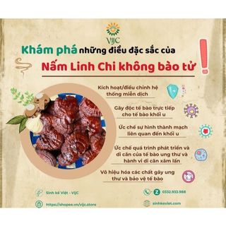 Nấm linh chi không bào tử