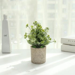 Chậu cây mini giả để bàn trang trí quán, nhà cửa - Jassi Decor